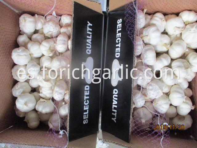 Best Quality 2019 Pure Garlic